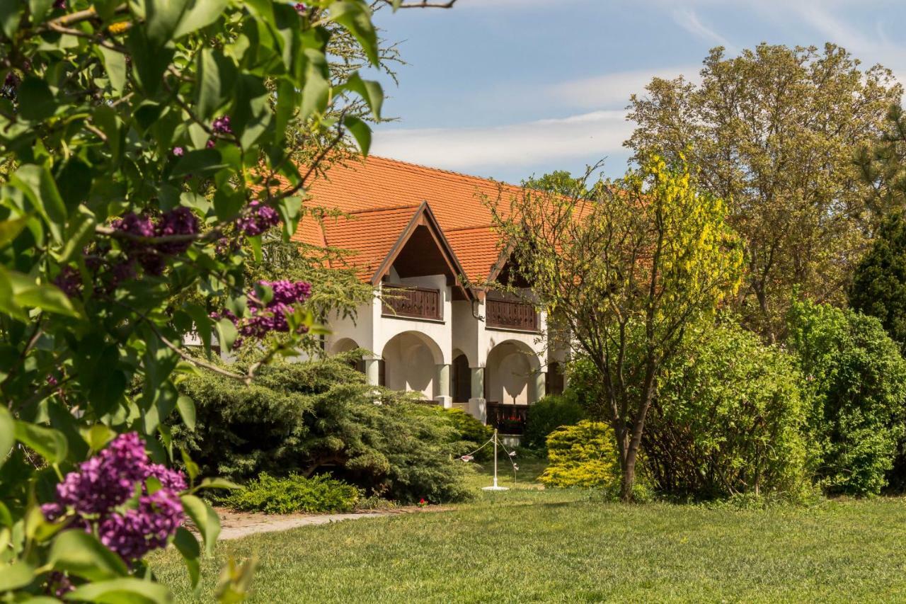 Hasik Hotel Magyarpolány Zewnętrze zdjęcie